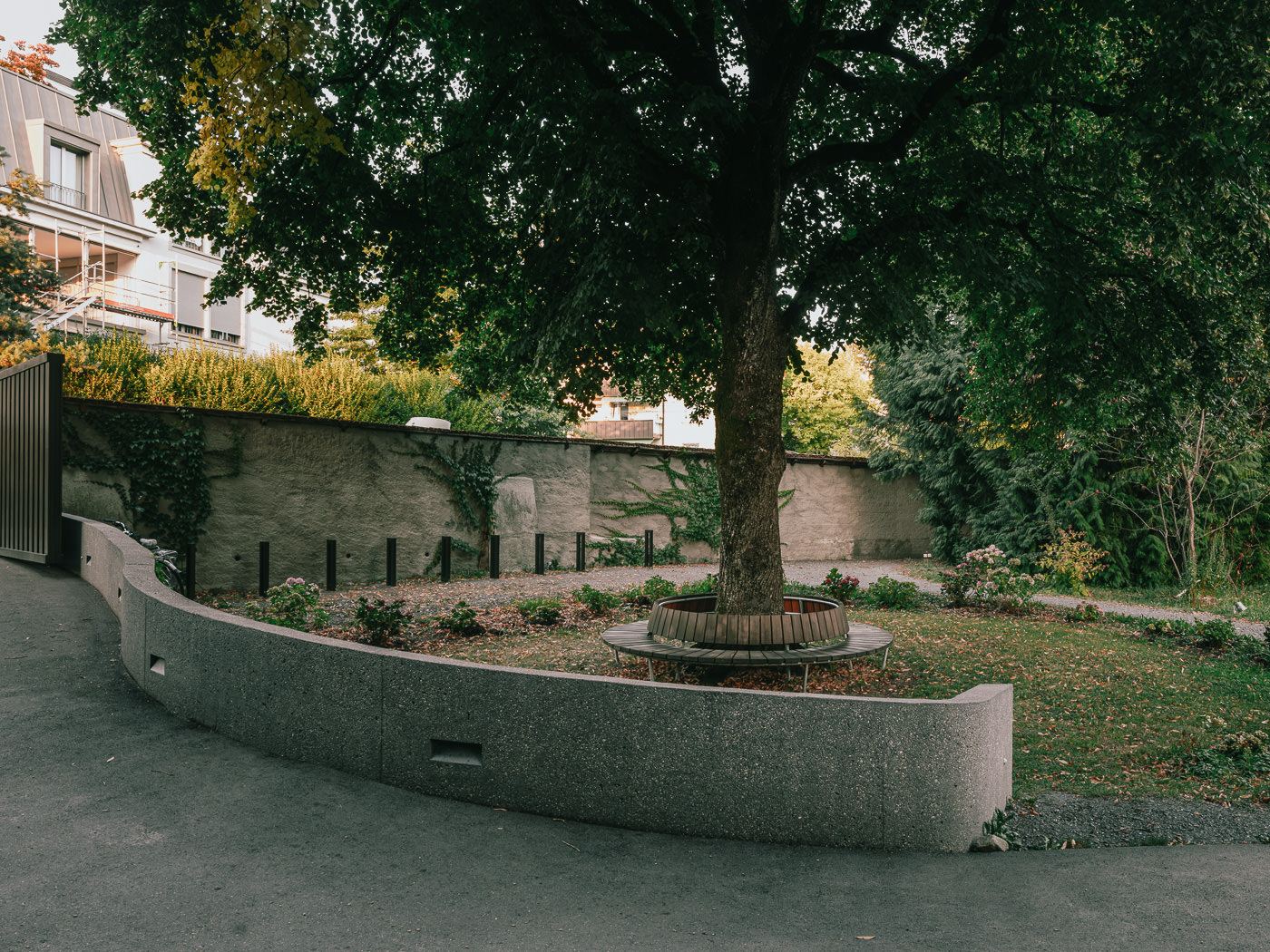 Alter Baum mit Rundbank an der Klostermauer des Kapuzinerklosters Wesemlin