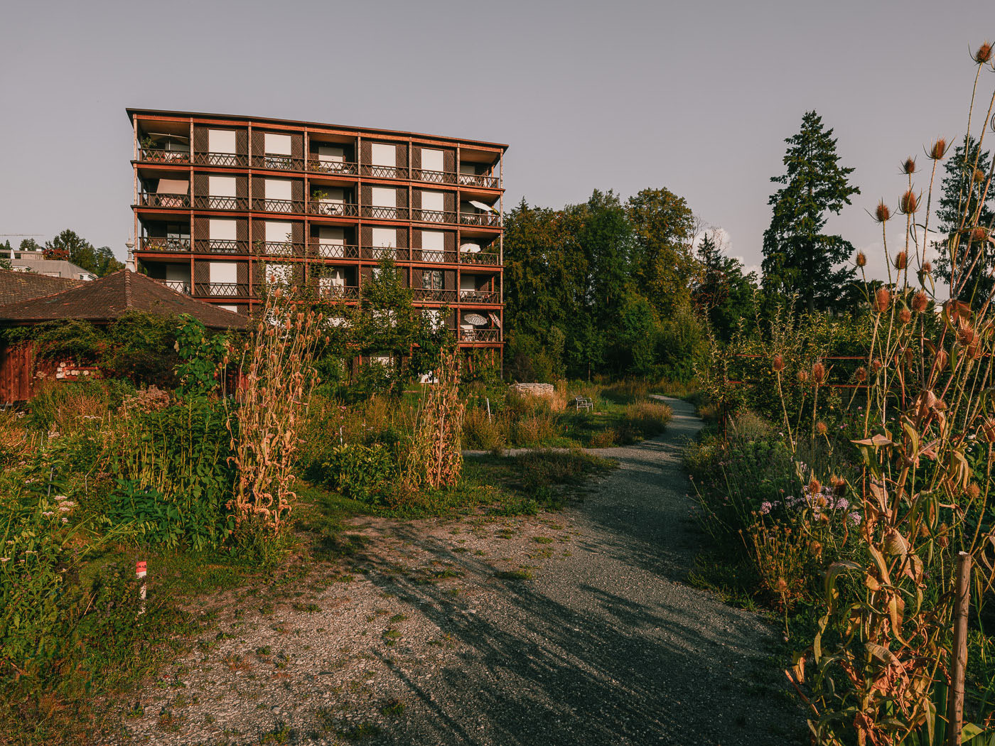 Wohnhaus Francesco zwischen Gartenwegen und hohen Stauden im Kapuzinergarten Luzern