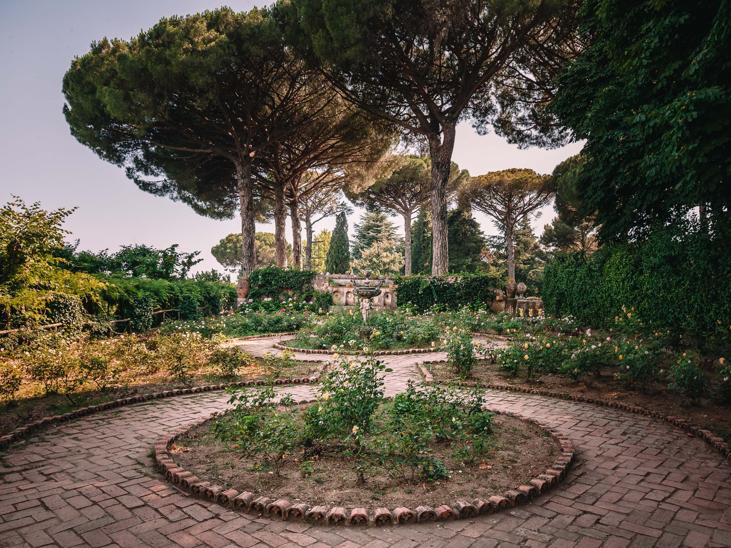 Geometrisch angelegter Rosengarten unter Schirmkiefern in der Villa Cimbrone